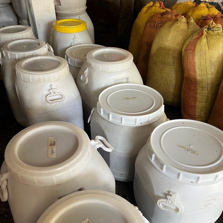 コロンビア エルオリヘン サーマルショック 【Colombia El Origen Pink Bourbon Thermal Shock Washed】