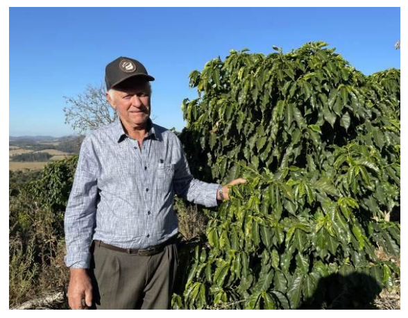 ブラジル アララ ナチュラル【Brazil Serra e Leite Tuccano Arara Natural 】