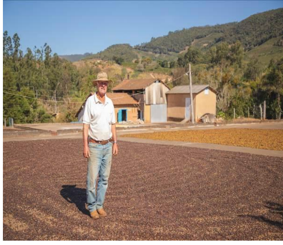 ブラジル アララ ナチュラル【Brazil Serra e Leite Tuccano Arara Natural 】