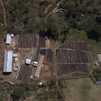 エチオピア チェルベサ アナエロビック ナチュラル 【Ethiopia Chelbesa #4 Anaerobic Natural】