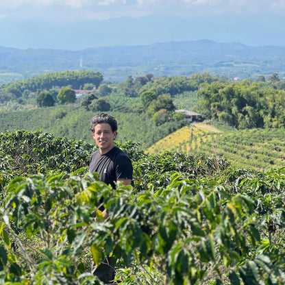 コロンビア エルオリヘン サーマルショック 【Colombia El Origen Pink Bourbon Thermal Shock Washed】