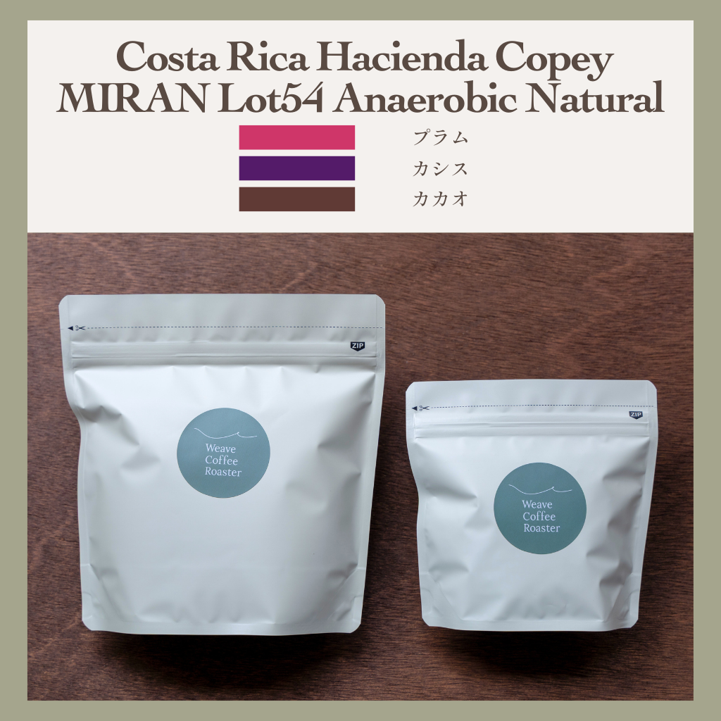 コスタリカ ハシエンダ コペイ アナエロビックナチュラル 【 Costa Rica Hacienda Copey MIRAN Lot54 Anaerobic Natural】