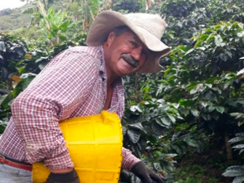 デカフェ コロンビア 【JAS認証 Decaf  Colombia Tolima Café Grande  Elvino Washed】