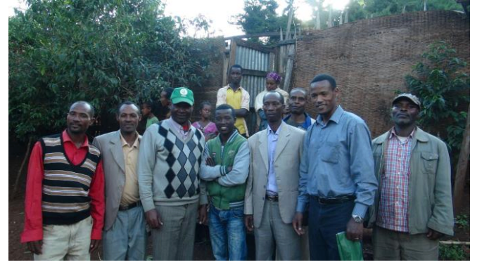 イルガチェフェ コンガ ウォッシュド 【Yirgacheffe Konga  G-1 Washed】