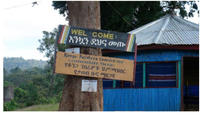 イルガチェフェ コンガ ウォッシュド 【Yirgacheffe Konga  G-1 Washed】